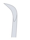 Shape