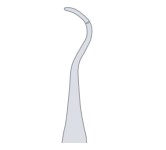 Shape 1