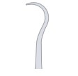 Shape 6