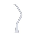 Shape 6