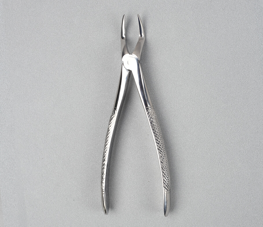 Extraction Forcep - 51A