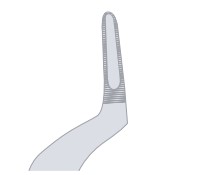 Shape